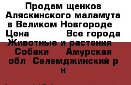 Продам щенков Аляскинского маламута в Великом Новгороде › Цена ­ 5 000 - Все города Животные и растения » Собаки   . Амурская обл.,Селемджинский р-н